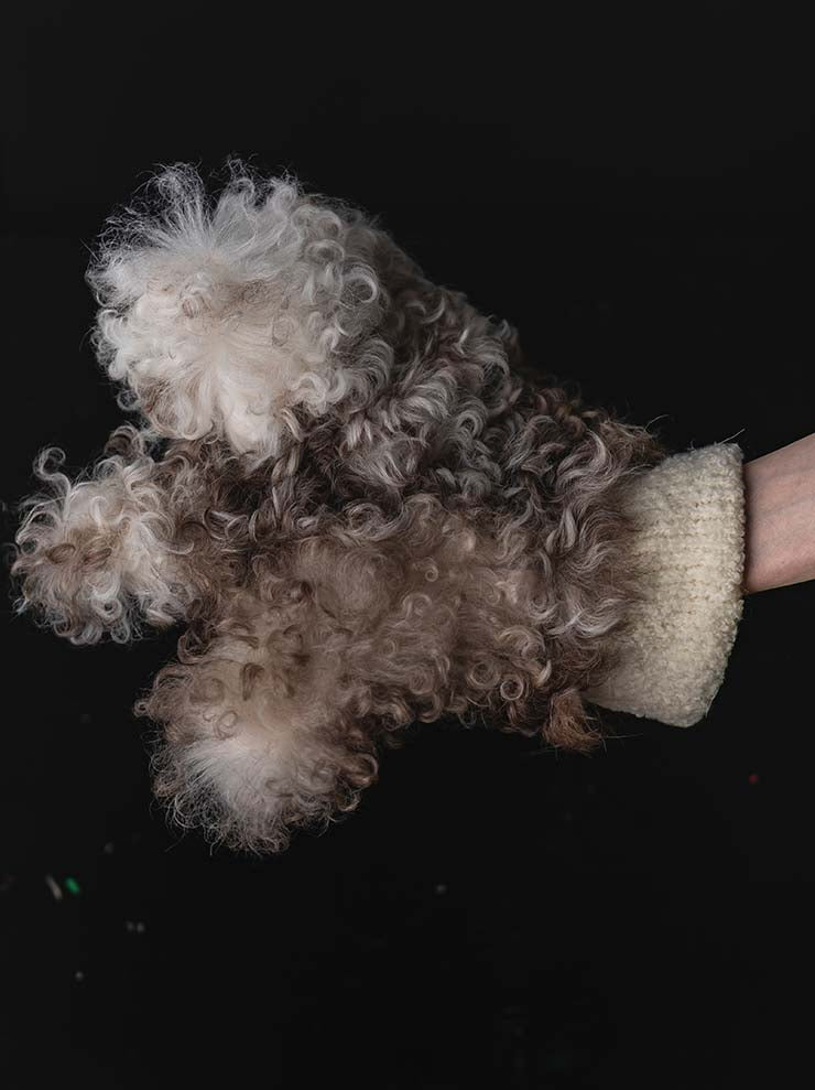 THE BACKWARD VENDOR<br> Shearling Gloves / BROWN & WHITE
