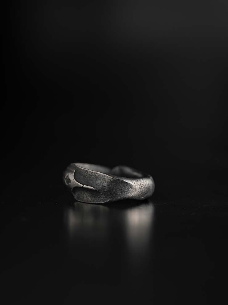 DETAJ<br>FRAGMENS OF REMINISCENCE SILVER RING / FR-PEN-R01