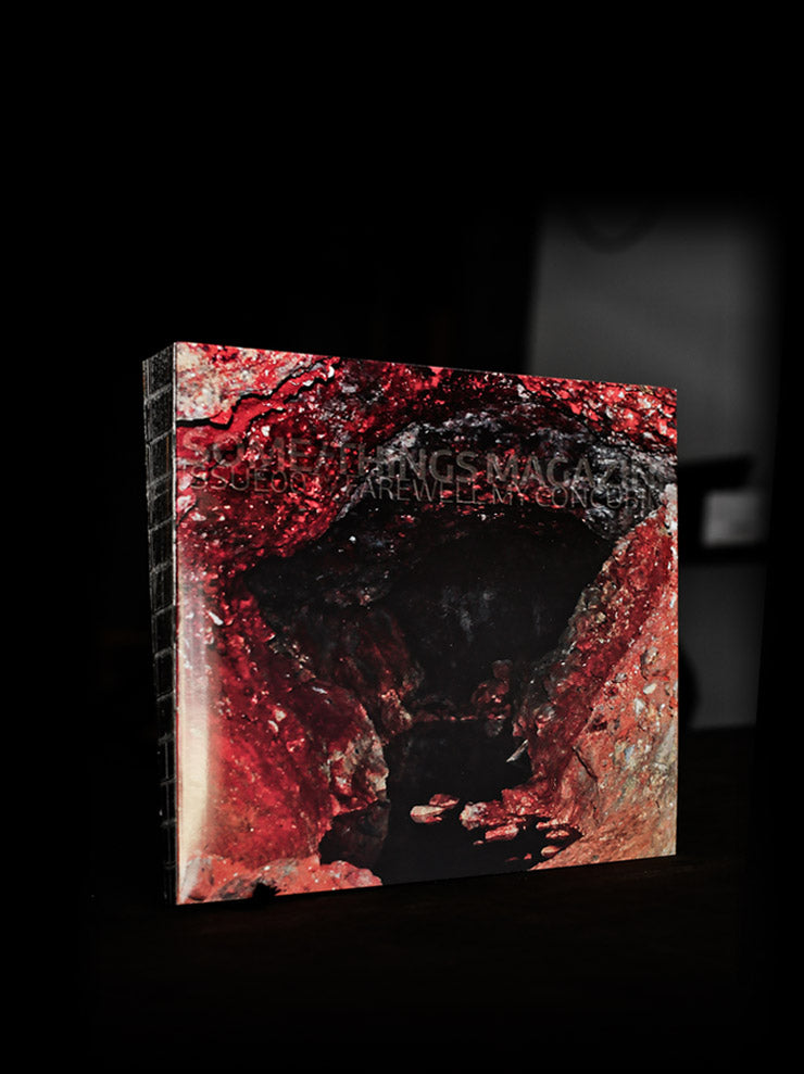 SOME/THINGS<br> SOME/THINGS MAGAZINE CHAPTER003 / FAREWELL MY CONCUBINE