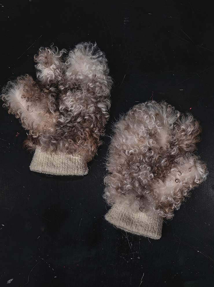 THE BACKWARD VENDOR<br>シアリング グローブ / BROWN & WHITE